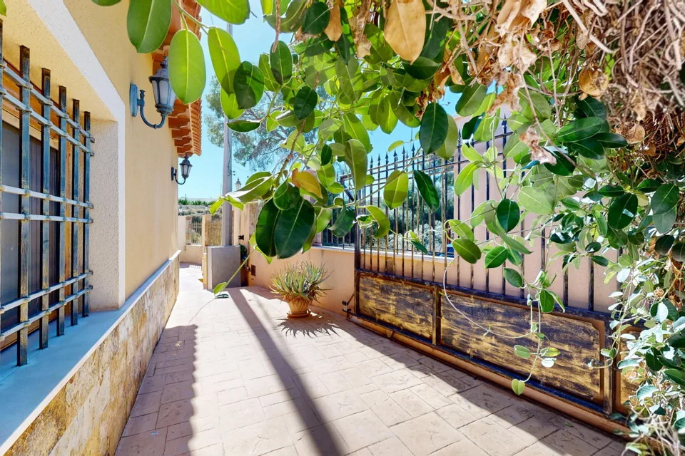 Terraza de la casa bajo la parra, junto a las ventanas